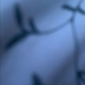 Meet your Posher, Bryan